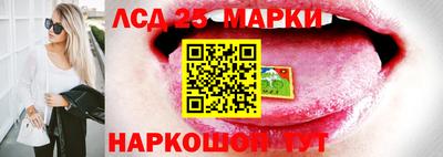 apvp Краснодар