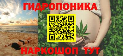 apvp Краснодар